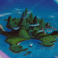 Profile picture of SecondStar2tR
