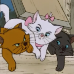 Profile photo of CrankyKitty
