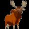 Profile picture of MOOSEMAN